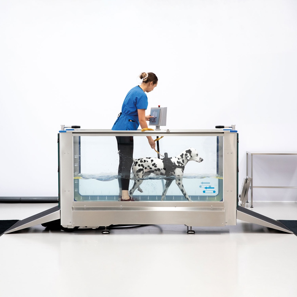 Hidroterápiás vízalatti futópad kutyák számára