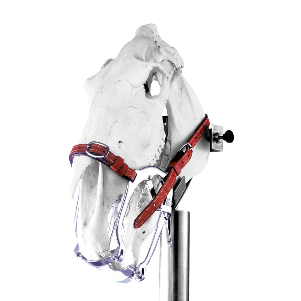 Abre-Boca completa worl wide equineSerie 2020