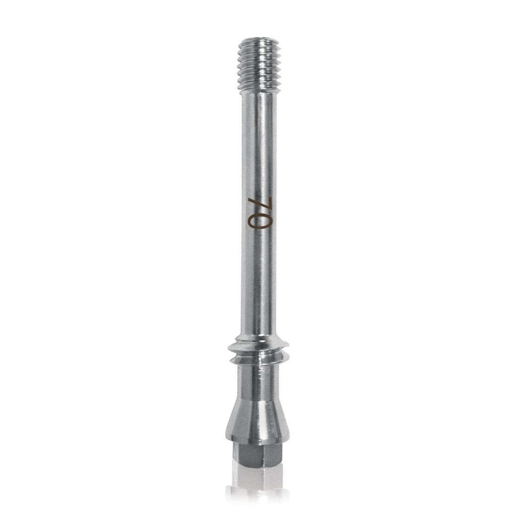 [191224] MTV – Implantat   6 x 70mm Implantatstahl neues Modell
