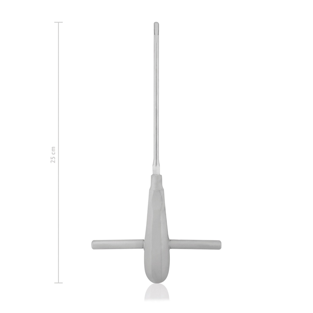 [175500] Élévateur radiculaire spécial selon le Dr Zwick L = 25 cm