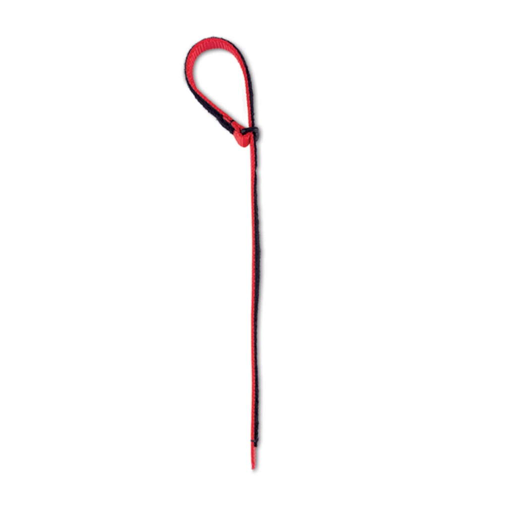 [605926] Pánt Pawsitionerhez, piros, kicsi