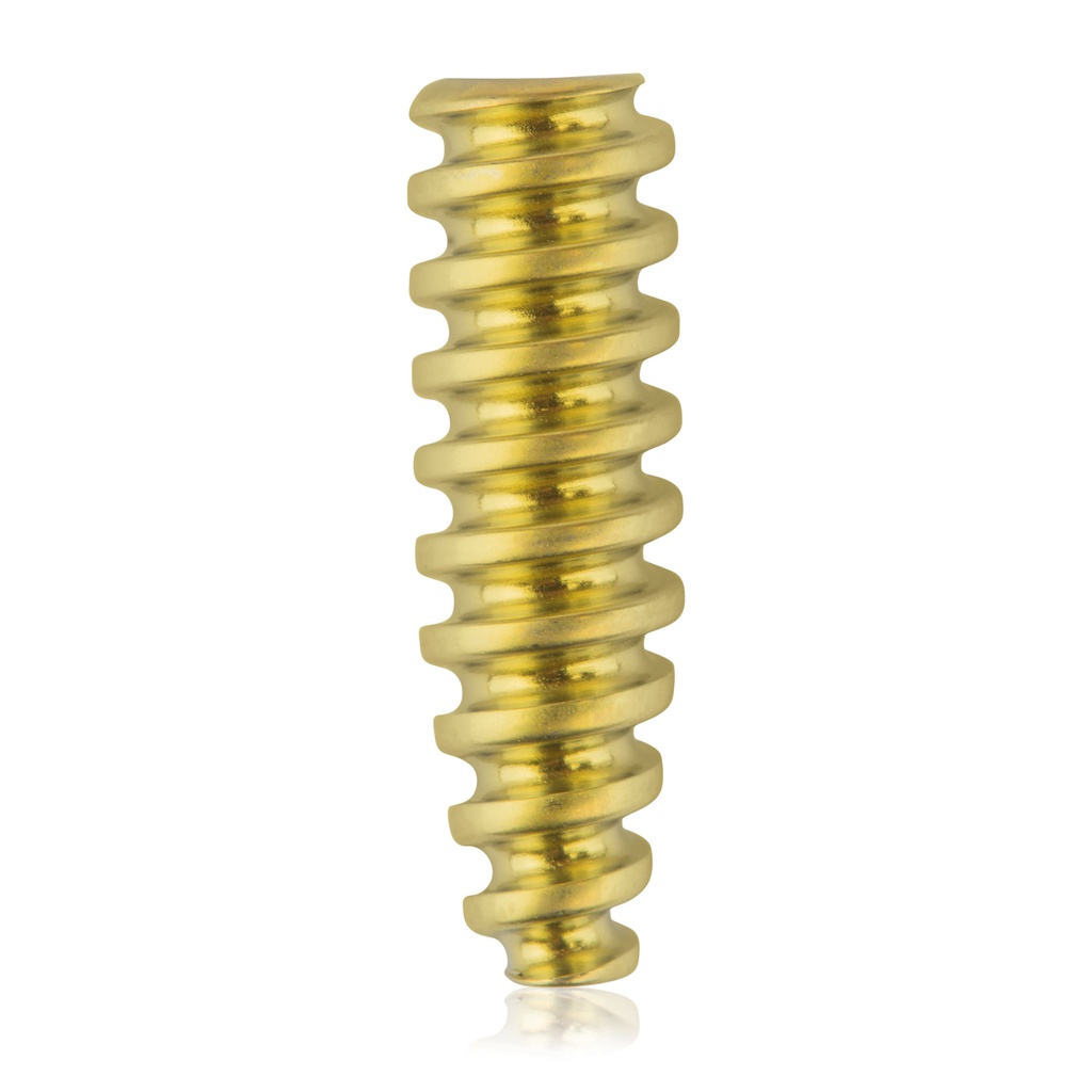 [191546] Vis à interférence en titane, forme canon, 1,1/Ø4,5/15,0 mm, HEX 2,5, jaune