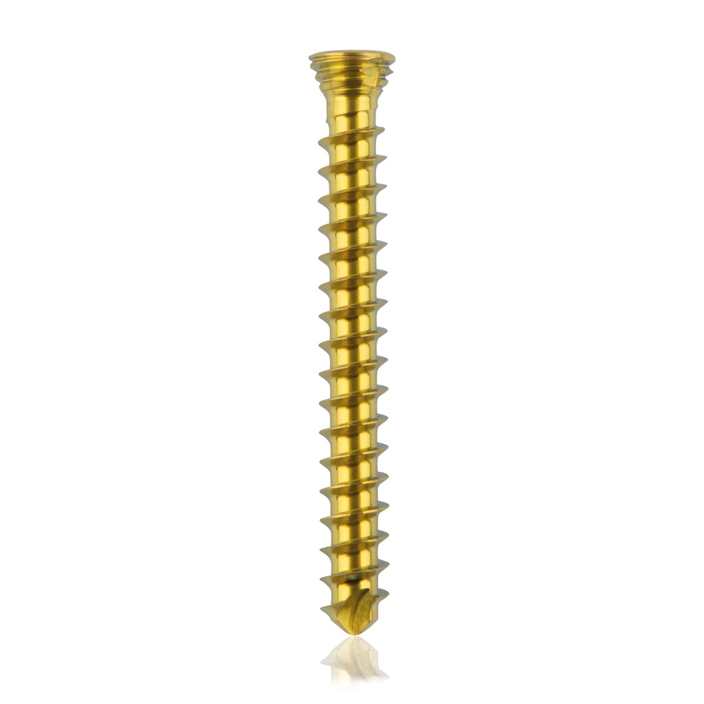 Tornillo de bloqueo de titanio Ø2.3x20mmmultidireccional, dorado, Torx 6autoperforante, autorroscante