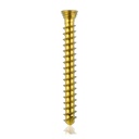 Tornillo de bloqueo de titanio Ø2.3x20mmmultidireccional, dorado, Torx 6autoperforante, autorroscante
