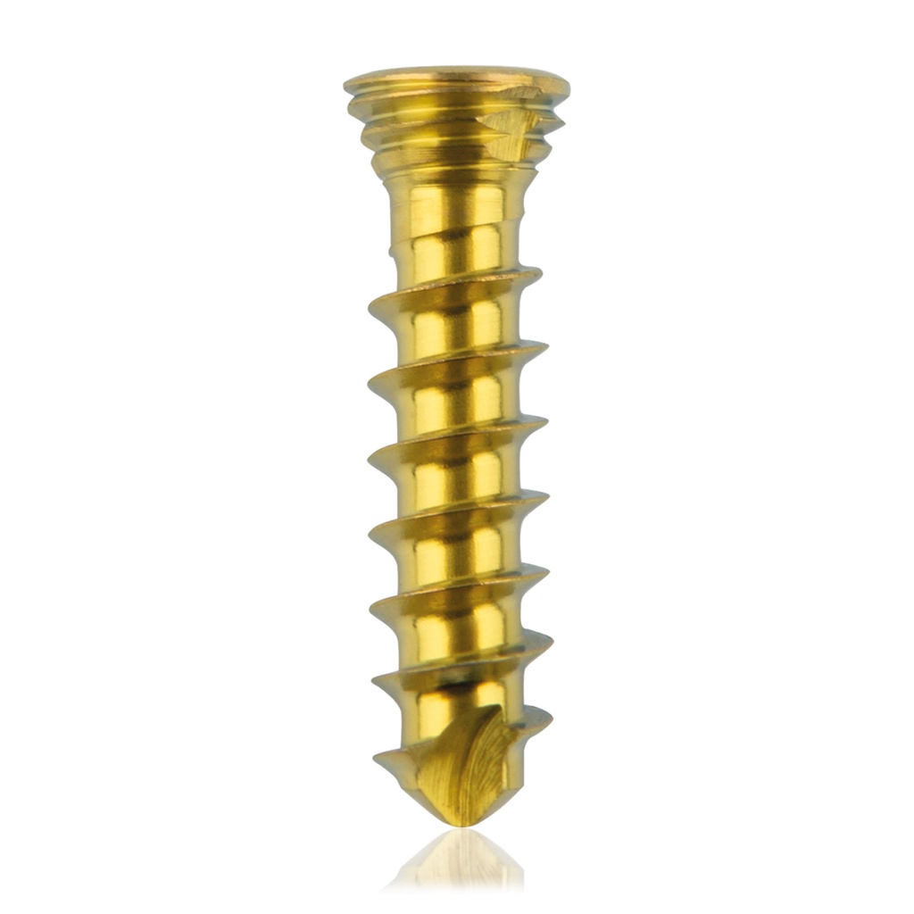 Tornillo de bloqueo de titanio Ø2.3x10mmmultidireccional, plateado, Torx 6autoperforante, autorroscante