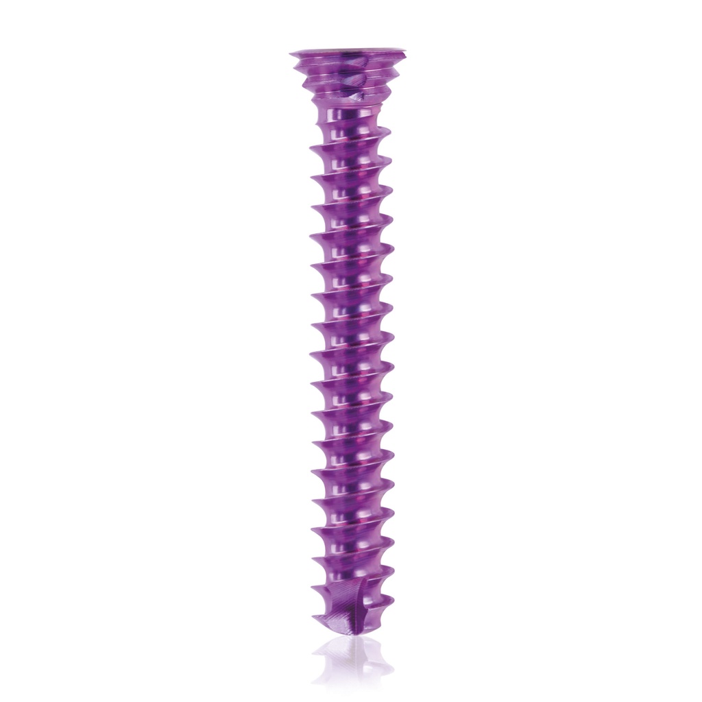 [185577] Vite bloccata in titanio, Ø 3,5 x L 24 mm, Torx 10