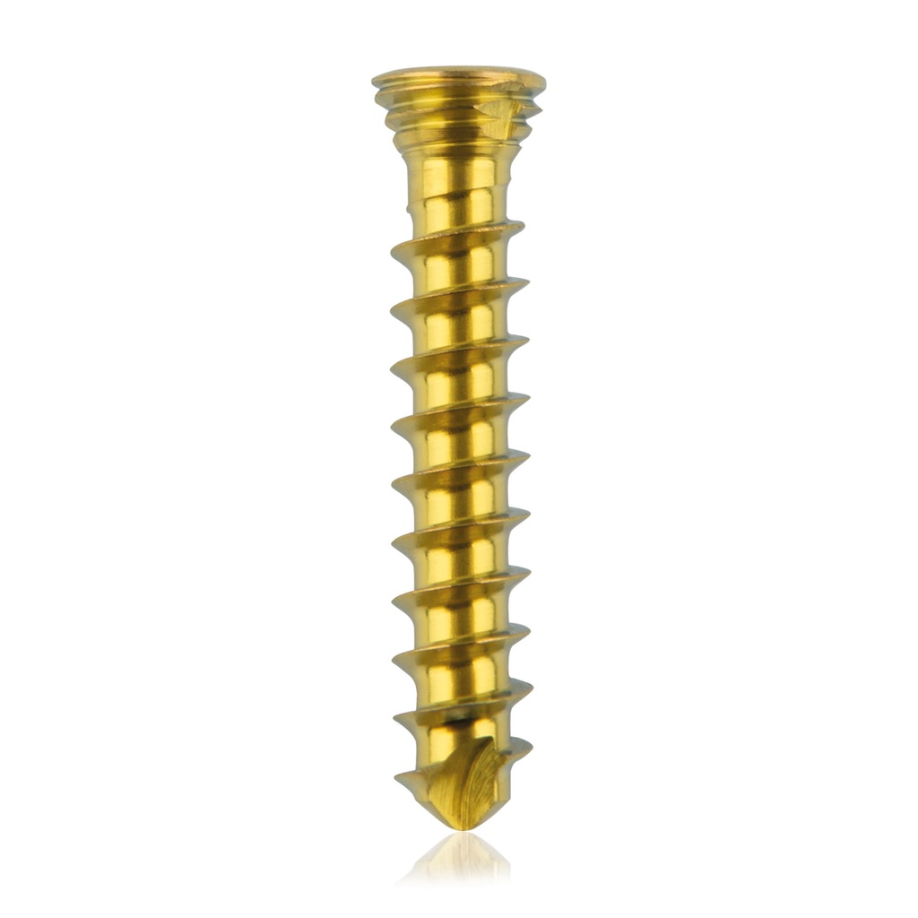 [185531] Titanium låseskrue Ø 2,3 x 14 mm multidirektional, guld, torx 6, selvskærende