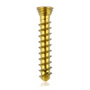 Titanium låseskrue Ø 2,3 x 14 mm multidirektional, guld, torx 6, selvskærende