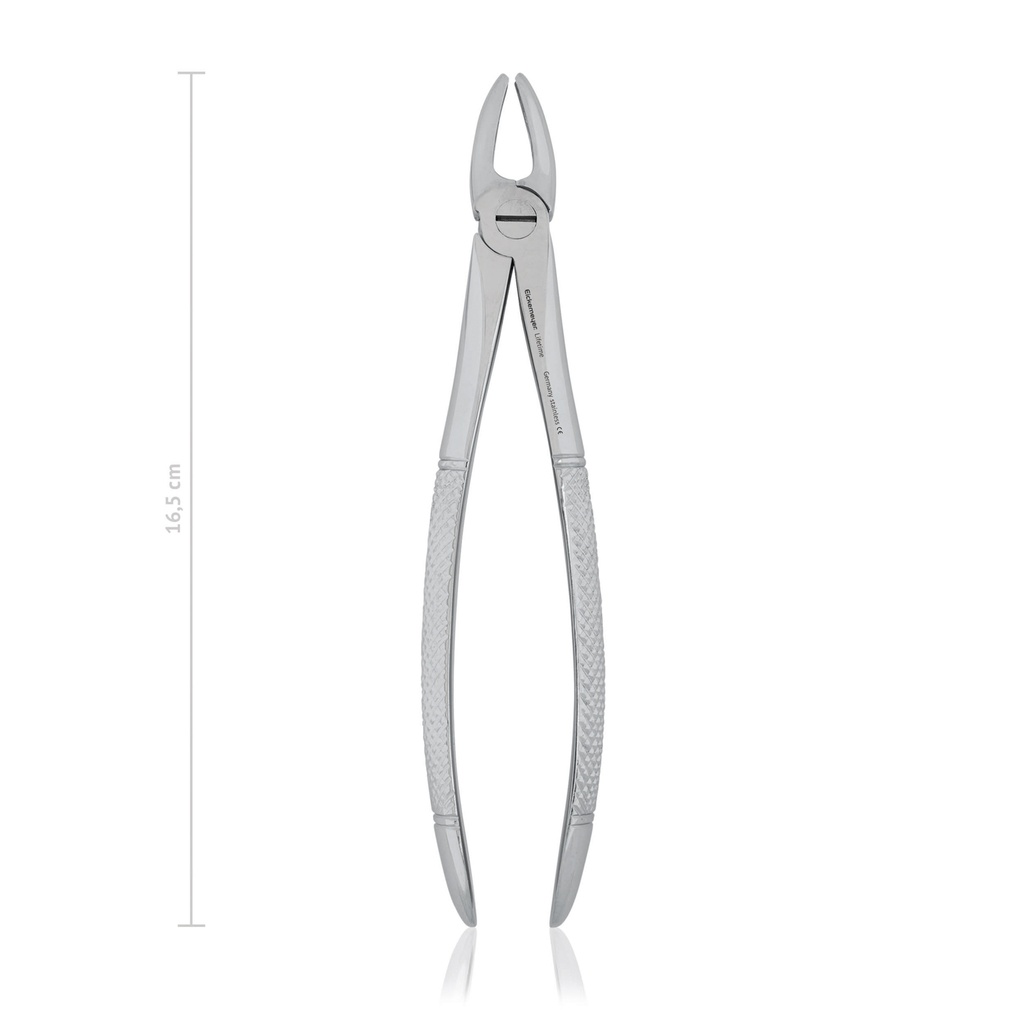[176017] Pinza de dientes, 16,5 cmpara perros, recto