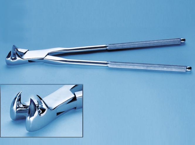Alicates, para la extracción de molarescon poca corona de caballos viejos"off side" 48 cm
