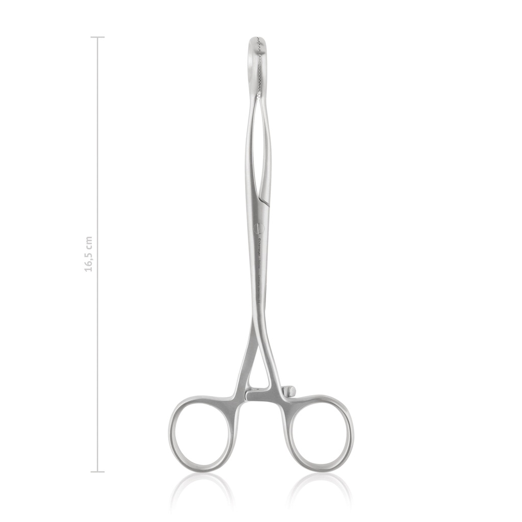 [146216] Tongue forceps Collin, 16,5 cm  