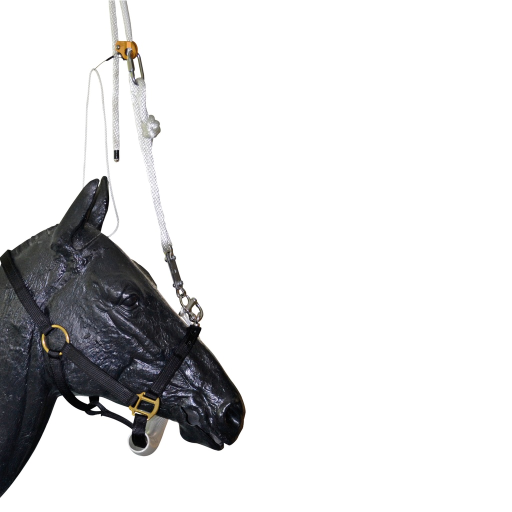 Dr. Zwick-féle kötőfék