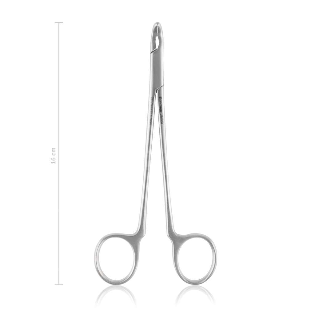 [17734001] Tooth extraction forceps