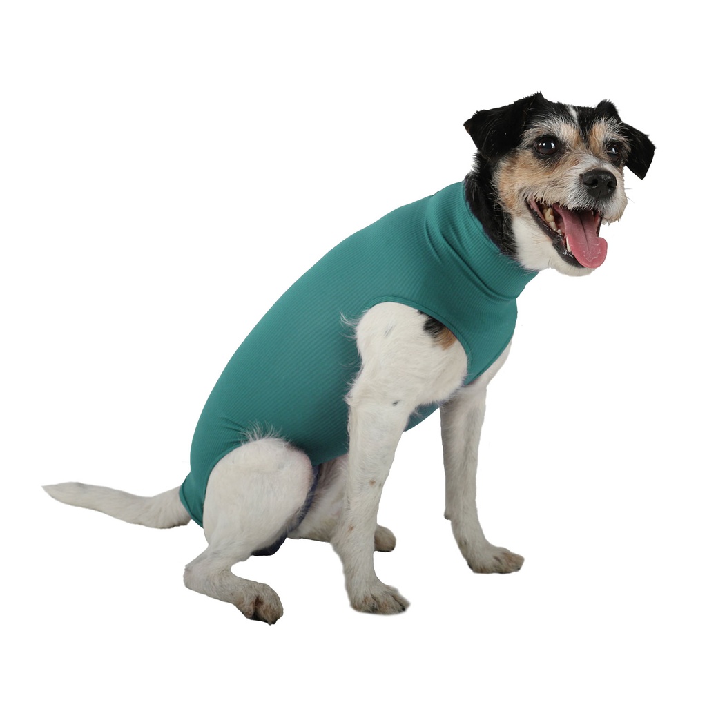 [VMC10023] Dog Body taille M chien male