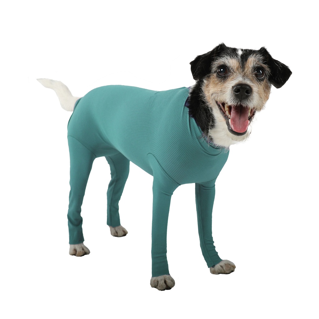 [VMC12023] Dog Body avec pattes taille M chien male