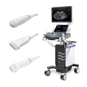 Special offer: Vetus 7 Expert - in a special offer package with 3 probes: Micro-convex: 2.6-12.8 MHz (C11-3s / Art. No. 305056), Linear T-shaped: 4.4-13.5 MHz (L12-4s / Art. No. 305057) and Phased array: 2.3-7.2 MHz (P8-2s / Art. No. 305058)