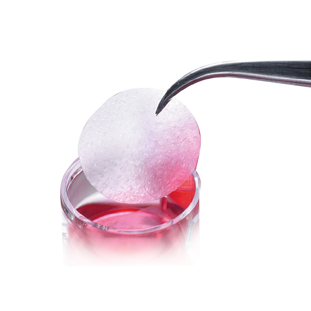 Membrana de colágeno, 100 µm