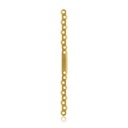 Placa ósea EickLoxx S-Type de 18 orificios, 212 x 12 x 4,5 mm, titanio dorado