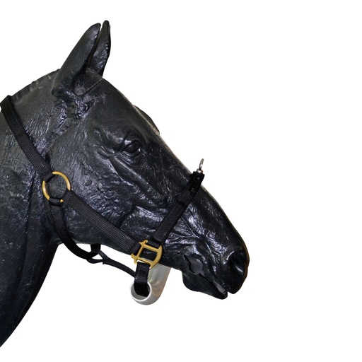 [177555] Nylon kötőfék, WWE #810-2376