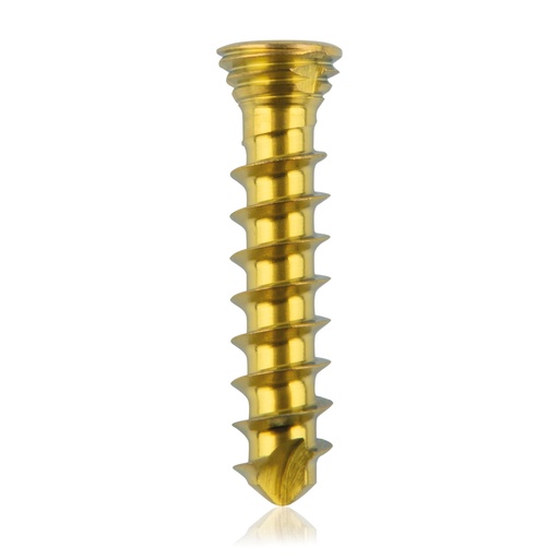 [185530] Titanium locking screw Ø2.3x12mm multi-directional, golden, Torx 6 self-drilling, self-tapping