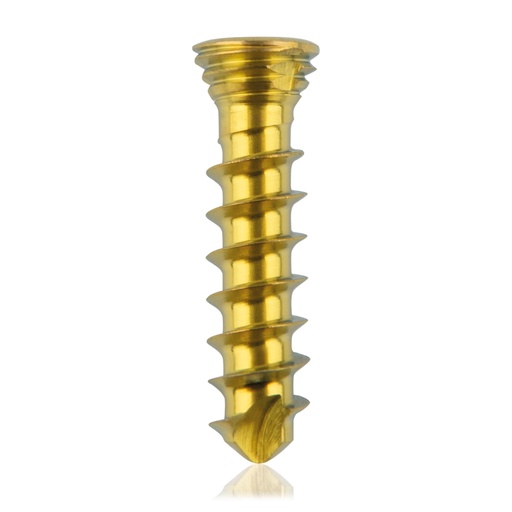 [185529] Titanium låseskrue Ø 2,3 x 10 mm multidirektional, guld, torx 6, selvskærende