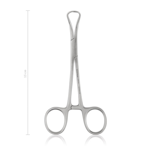 [973313] Pinza de paños Backhaus, 13 cm,